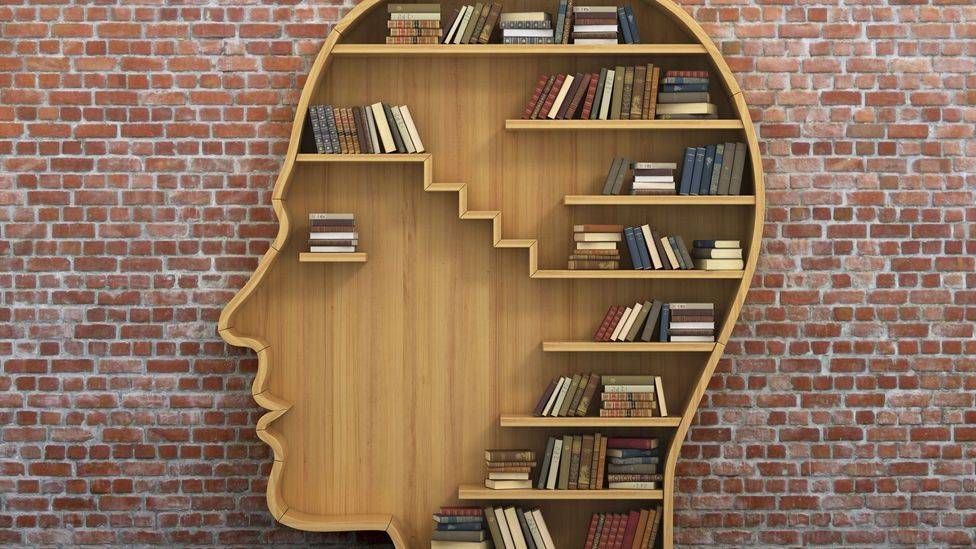 heads-books-brain.jpg